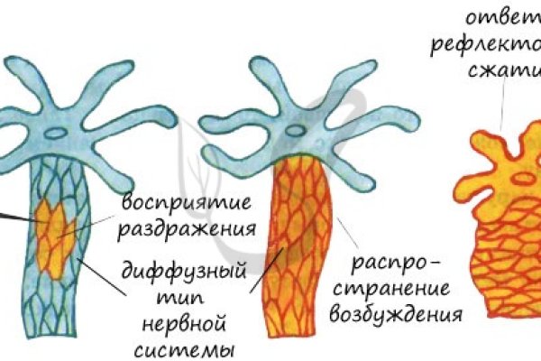 Кракен шоп krakenweb site