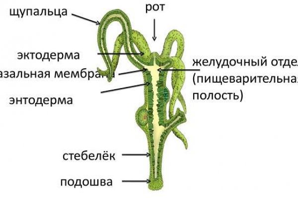 Кракен купить гашиш